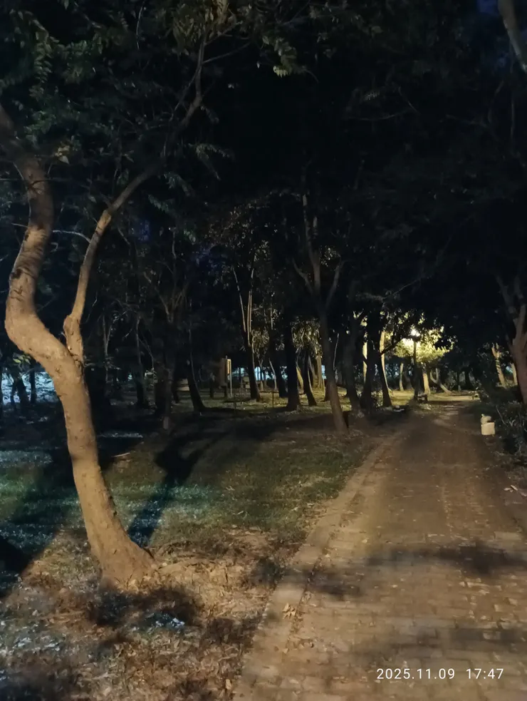 秋聲愁滿無避處，自拍攝