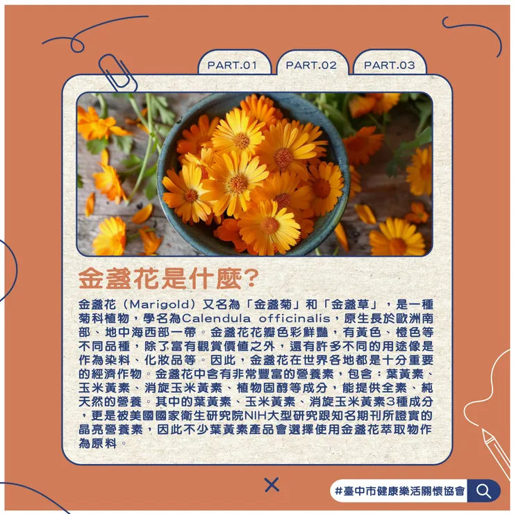 PART.2 金盞花是什麼?