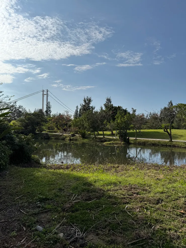 2026/02/14 吊橋附近的小池塘