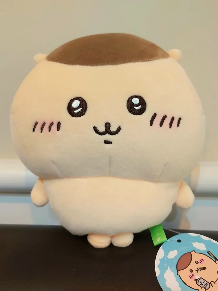 初來乍到，稚嫩的模樣與現在（2025年8月）差很多呢！