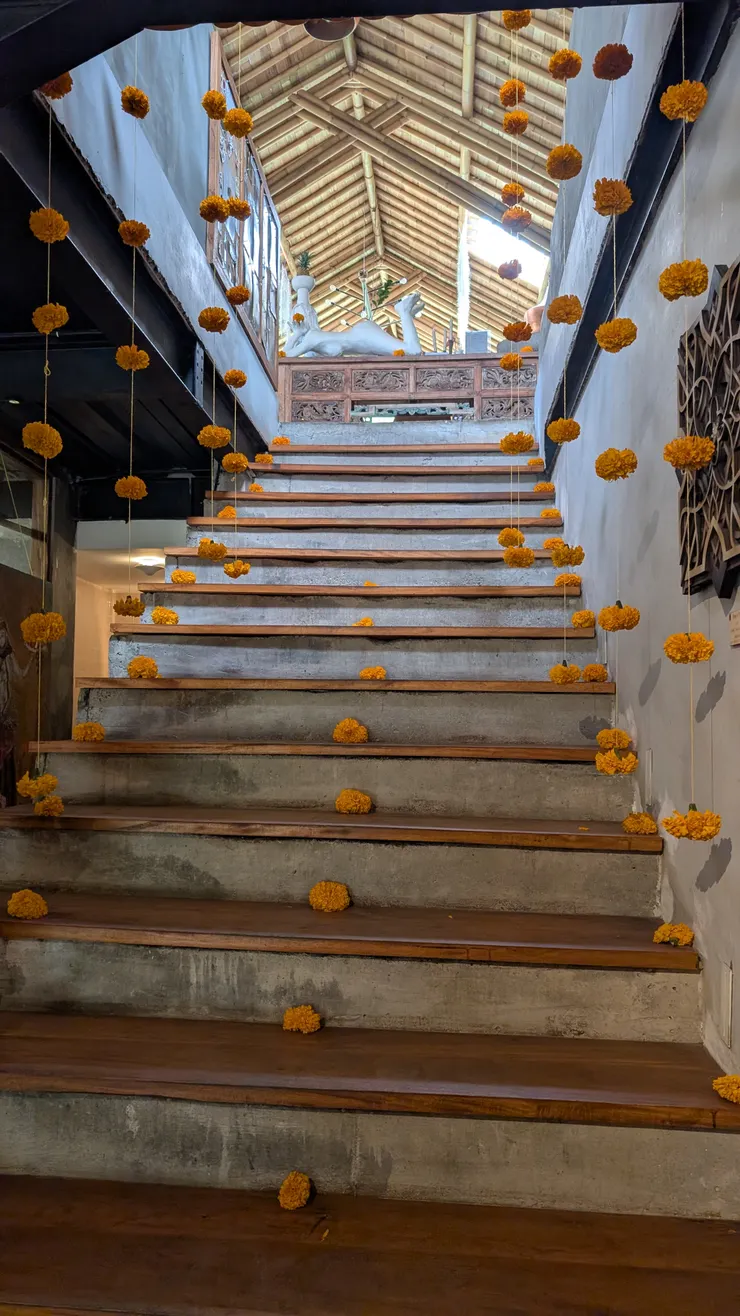 用餐區的路上也太美了吧