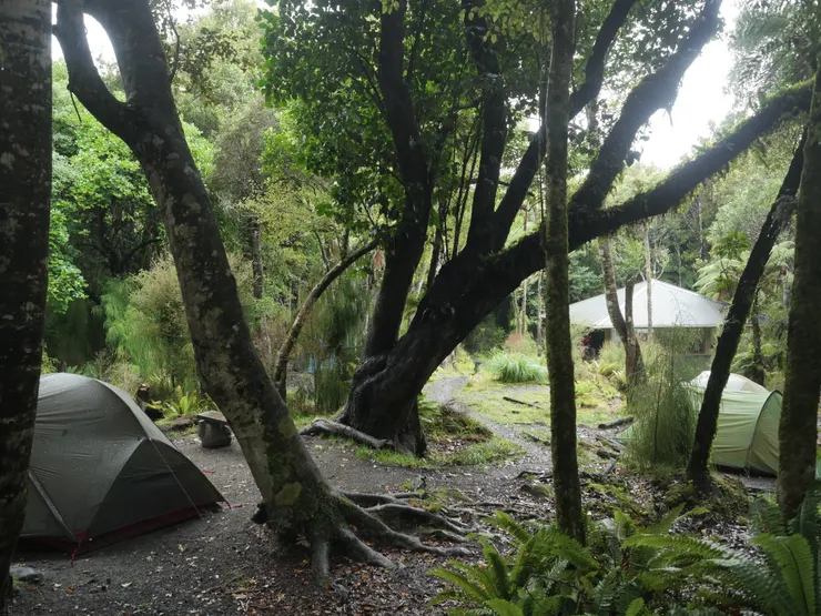 營地據說也是奇異鳥的棲息地，所有露營者把營帳搭好後，都跑到炊煮涼亭躲雨吃下午茶了。