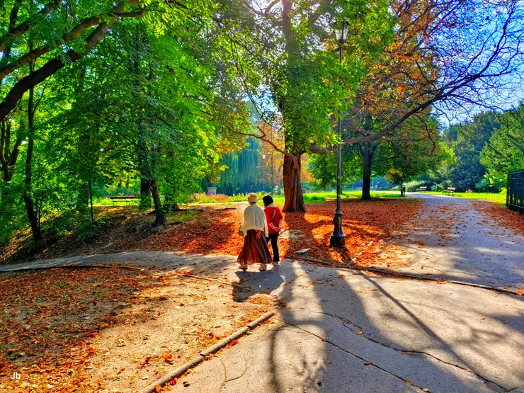 【樹林草地三兩木椅與幾條曲徑！1992 年前被稱為中央文化公園 (Centralny Park Kultury) 的里茲-史密格威公園 (Rydz-Śmigły Park)，亦可簡稱里茲公園，離表妹家不過幾步之遙。】