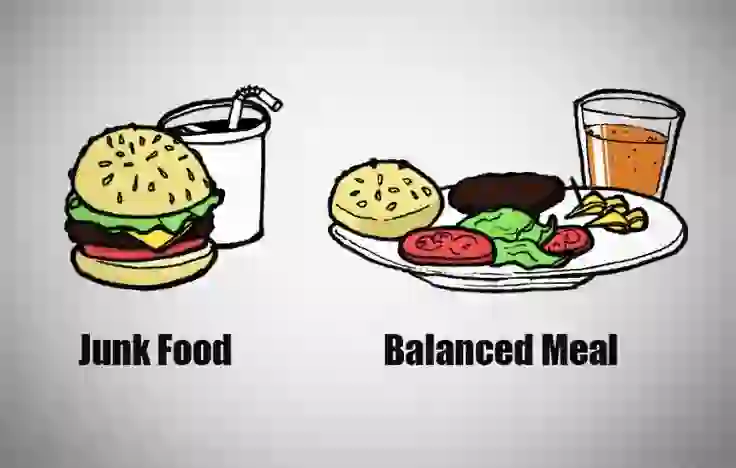 https://www.pinterest.com/pin/balanced-meal--427138345882467124/