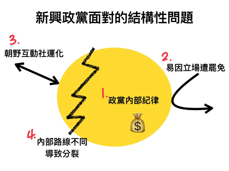 新興政黨面對的結構性問題（圖源：本文作者製）