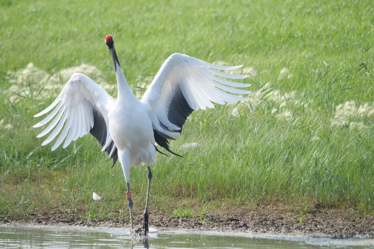 腿長就是擺什麽Pose也美
