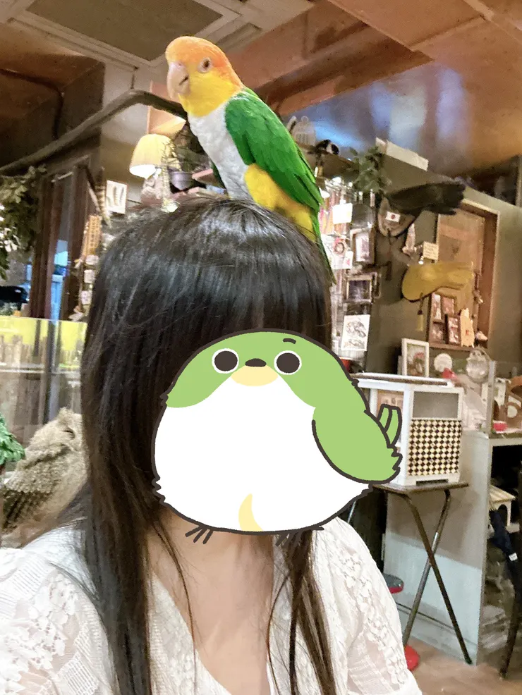 頭髮還被弄亂啦!