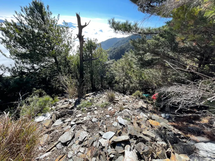 待援的碎石斜坡，實際坡度用手機一量，超過30度。小曾就在畫面右邊松樹的下方，樹叢中的綠色與紅色是我們的背包。