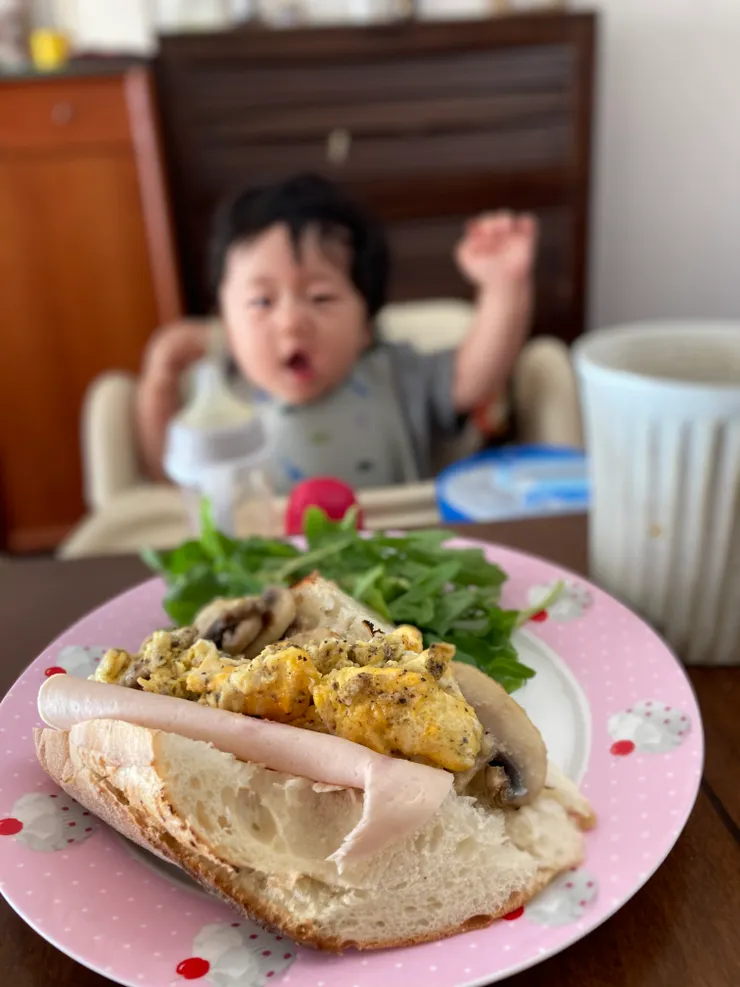 單純只是分享一下最近很搶鏡的小哈利