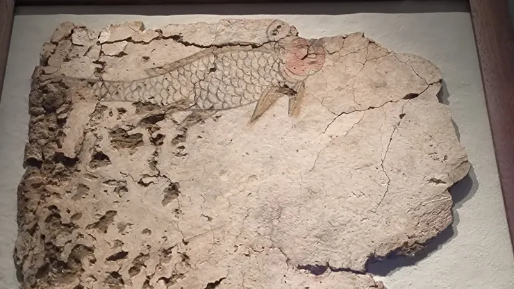 圖24 <<儀魚、伏聽、金雞、玉犬>>北宋(1082) 出土2018年神木店塔鎮高氏家族墓 局部 *儀魚-人面魚身,魚身用墨線勾勒,魚鰭以黃彩填色。/攝影©XIAN-YI 2023