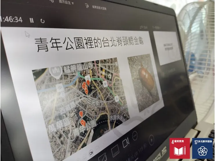 在青年公園的觀察與記錄到的特殊物種