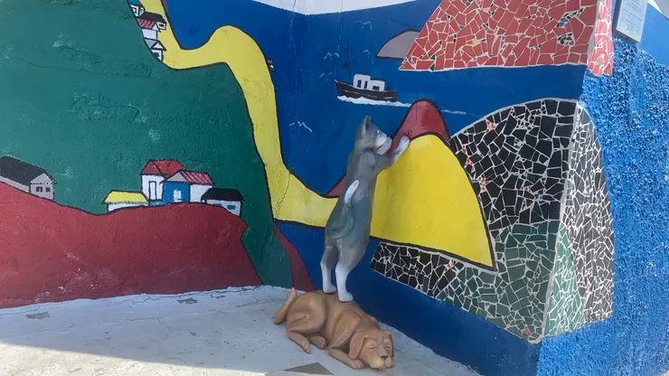 踩在狗狗上的貓貓。