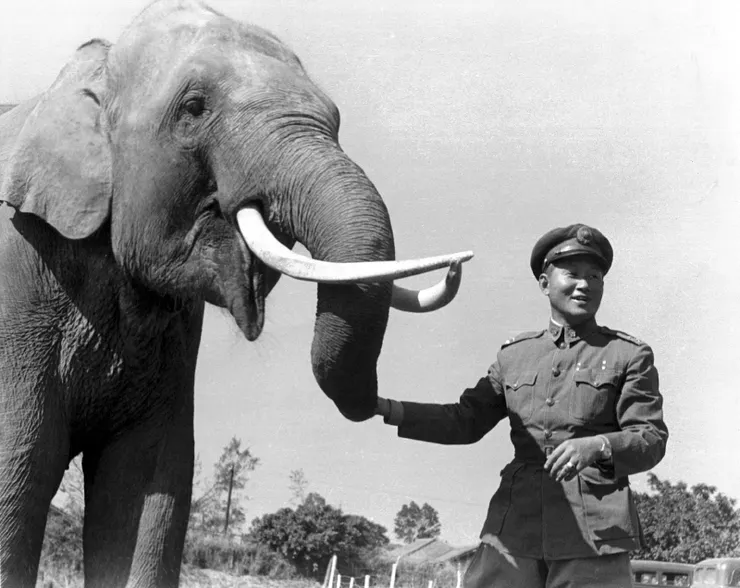 圖：大象林旺與孫立人將軍（羅超群攝影．羅廣仁典藏）