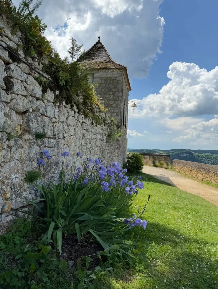 時間在這𥚃，暫時停下腳步
