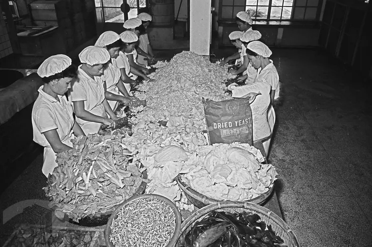 圖9 廚工處理營養午餐食材 案名:1965農復會照片 檔號:0054/0012/1 來源機關:行政院新聞局 管有機關:國家發展委員會檔案管理局