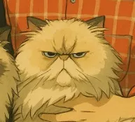 貓趣日和的沙龍