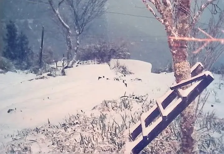 小楊的時間膠囊