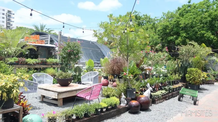  邁阿密 Wynwood Gardens