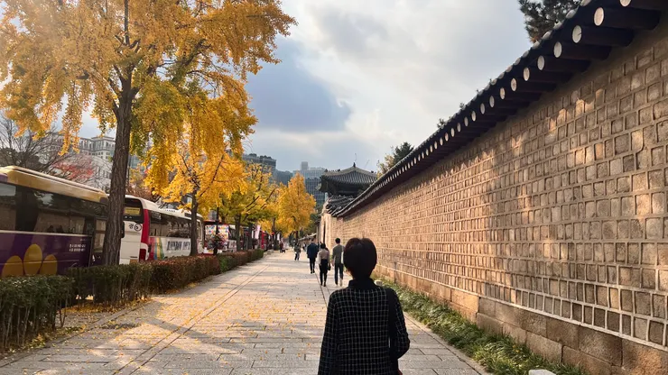 景福宮路旁停滿遊覽車