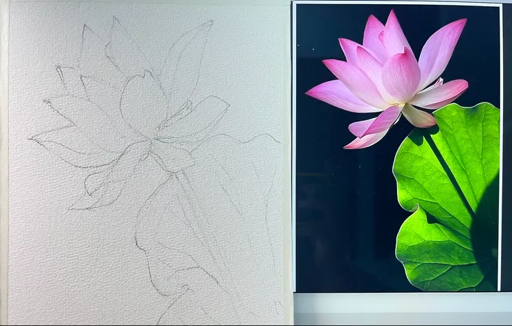 YHCC線稿 & 網路攝影圖片 來源