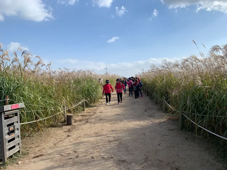 有很多阿姨叔叔也會來逛~