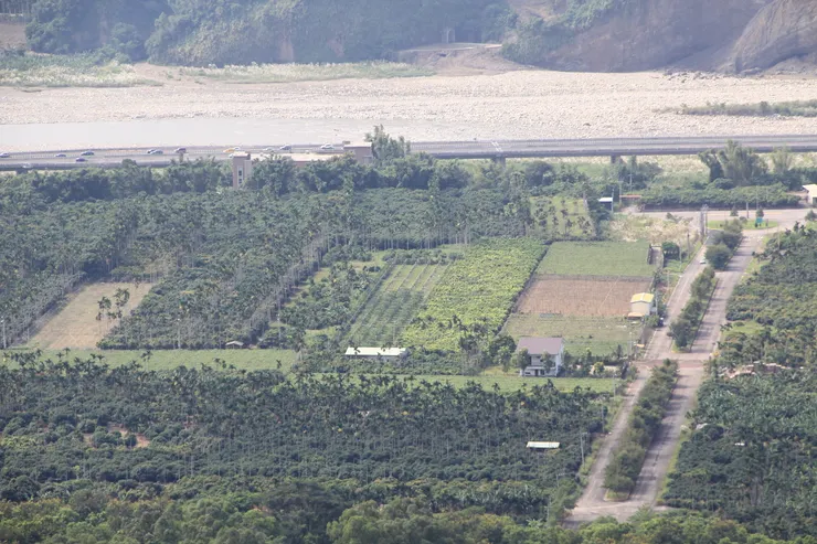 國道六號南投雙冬路段，兩旁盡是有名的「雙冬檳榔」（圖源：數位島嶼）