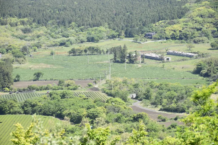 遠眺島上的鄉間小道。