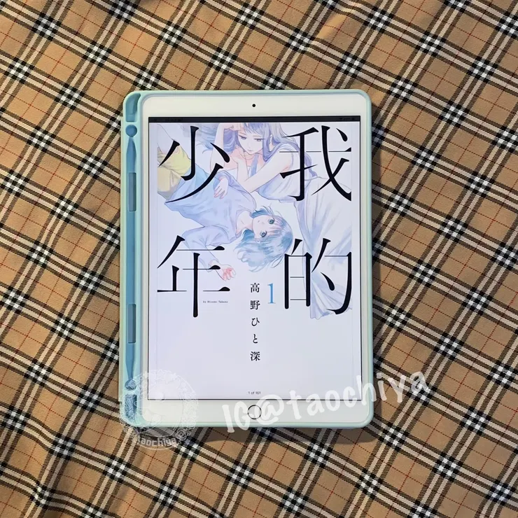 我的少年/高野ひと深