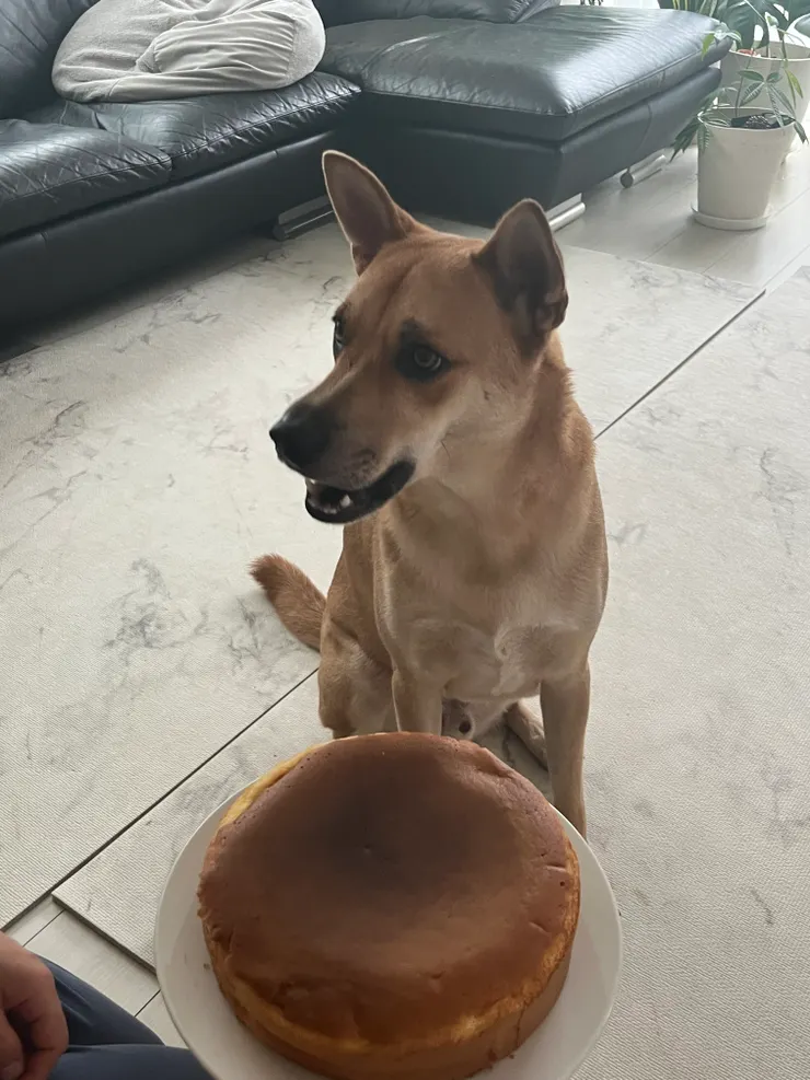 自製米粉雞蛋糕