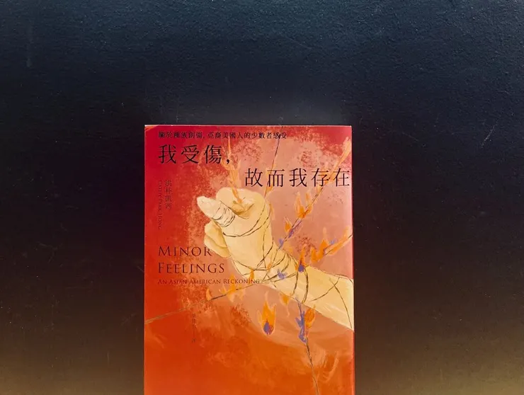 《我受傷，故而我存在》洪朴凱西，二十張出版，2023。