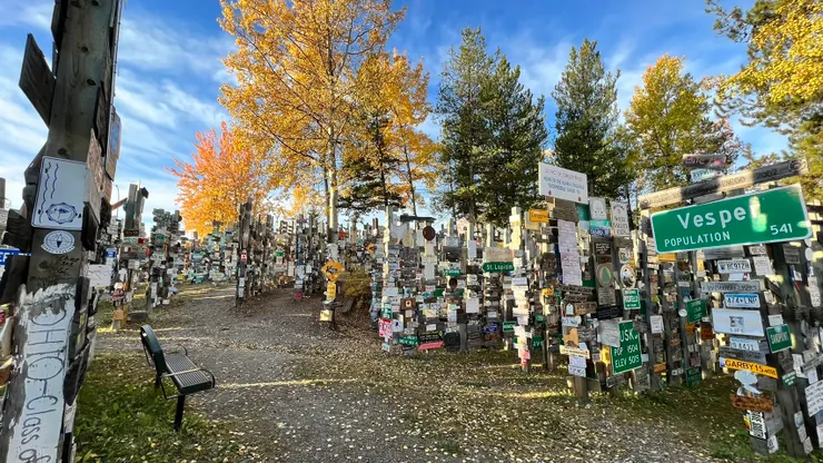 到處釘滿車牌與路牌