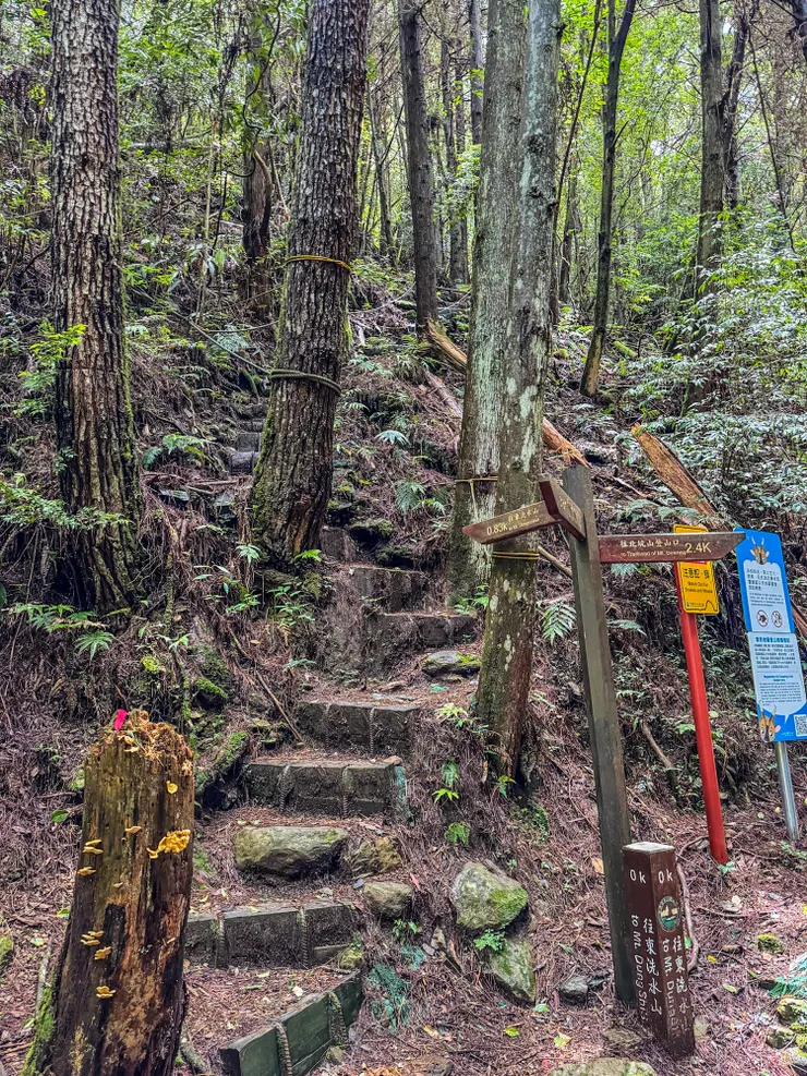 往東洗水山雖然只有短短的0.83K, 但一路陡到山頂