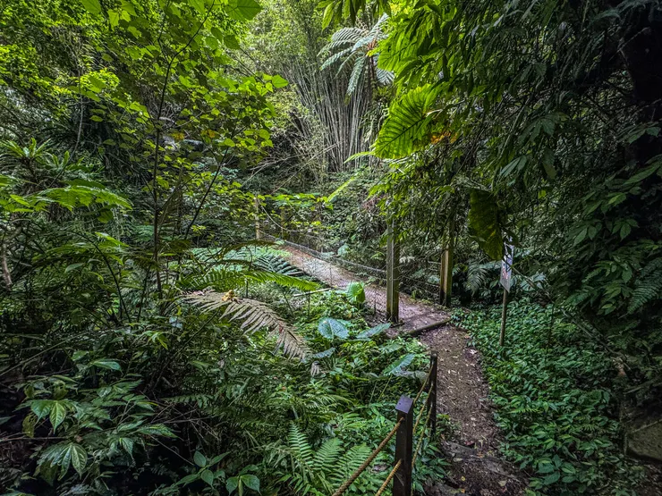 0950 抵逹鐵板橋