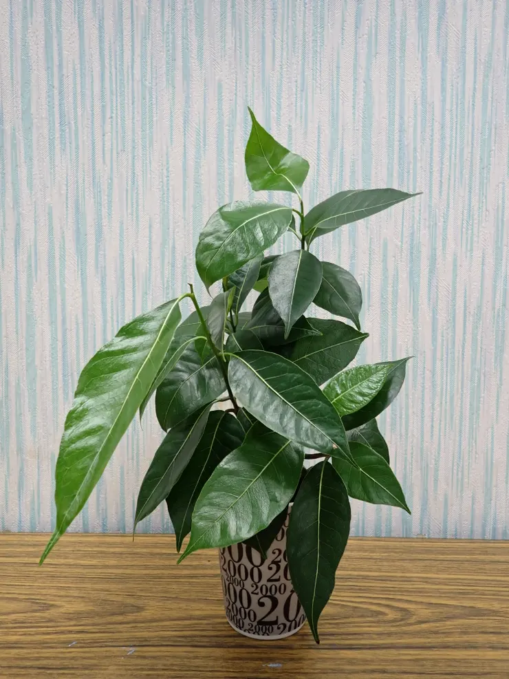 北投社大114.09.10