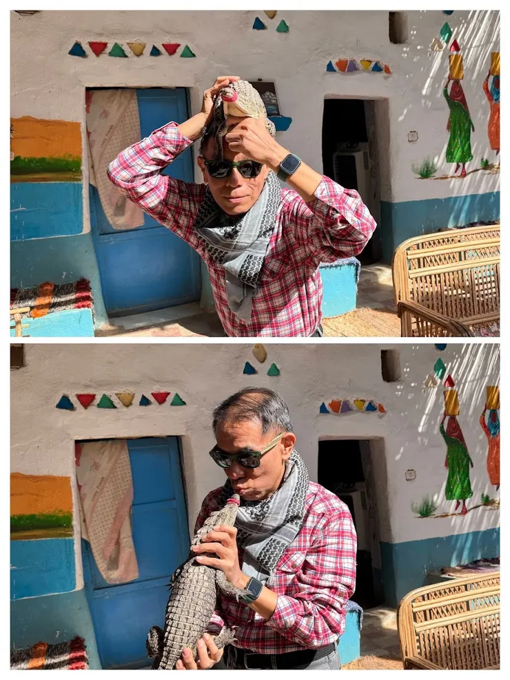 鱷魚被當成寵物養