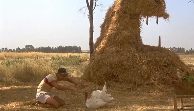 「看！我在催眠雞！」