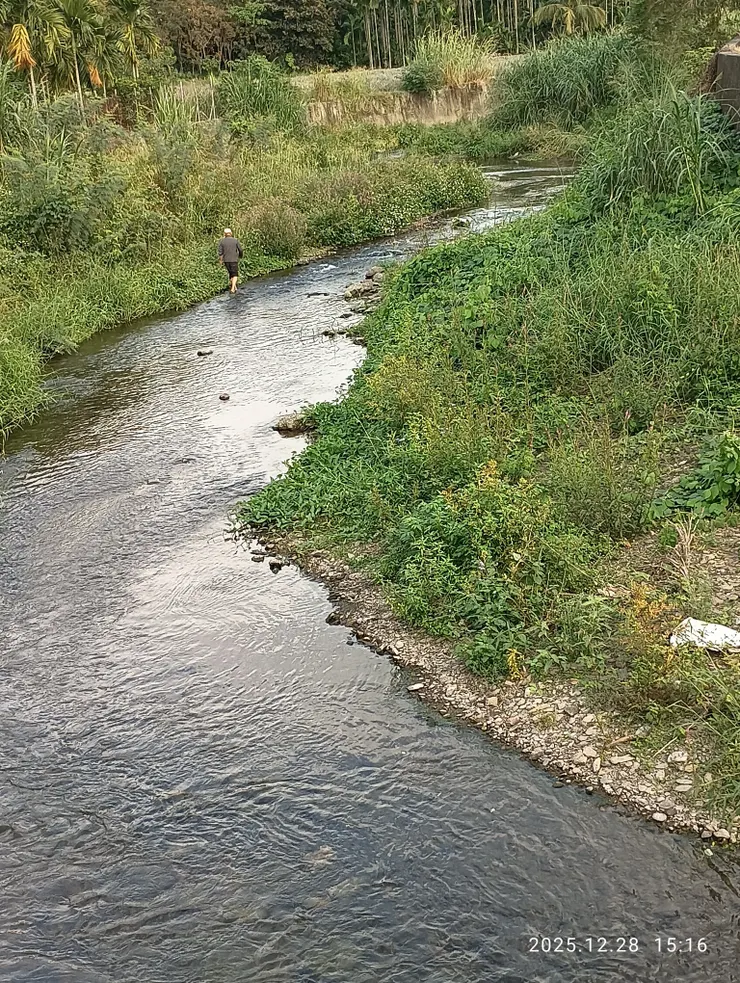 光過隙歸去波遠