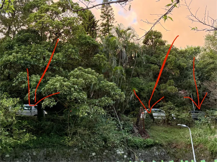 上方已經開始塞車了