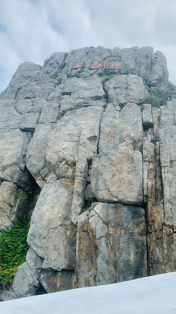 從下面看真的要仰高。