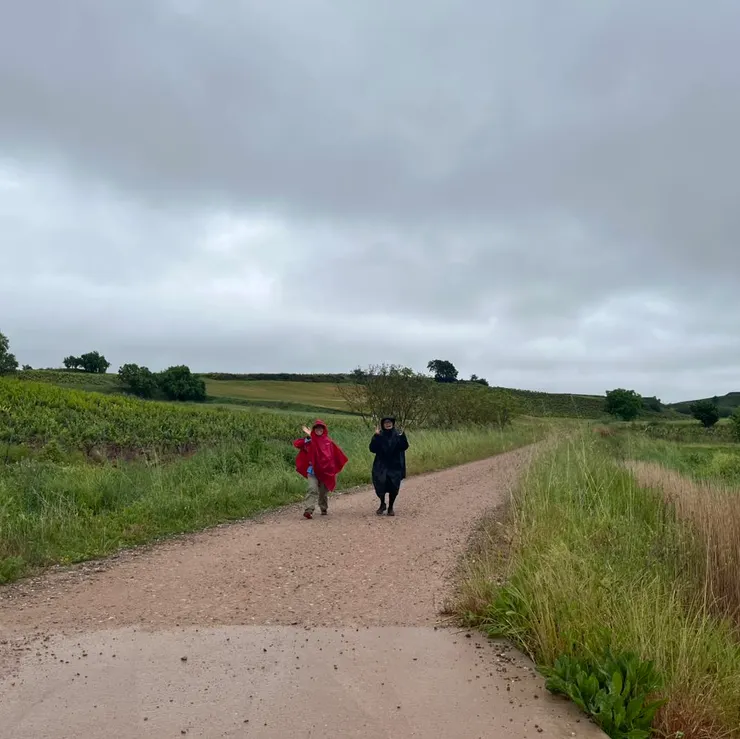 下雨天的 Camino，或許因為是小雨，還覺得有些浪漫