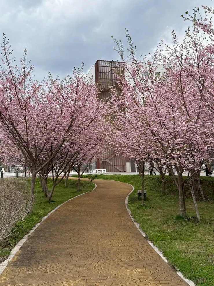 一條不會催促你的路，錯一步也有人等你。