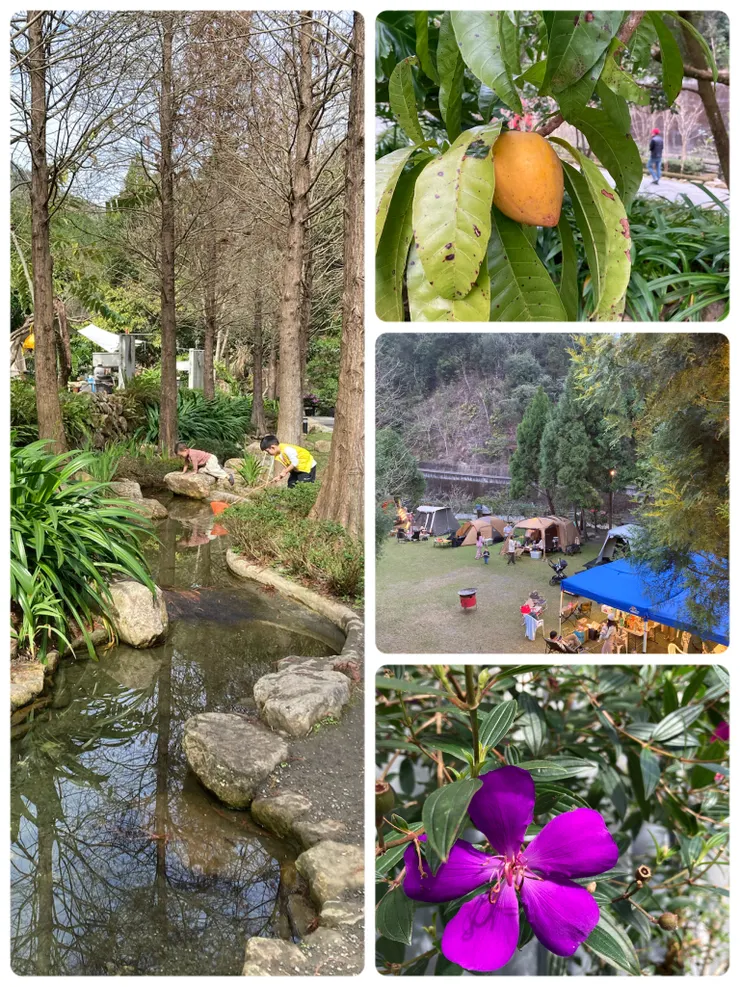 自然生態也非常豐富！