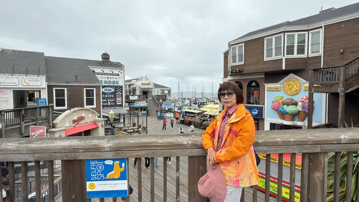 39號碼頭海獅意象