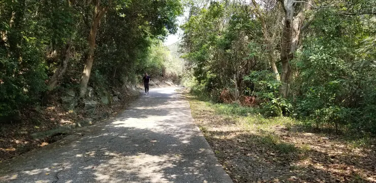 山腳的路平坦得多