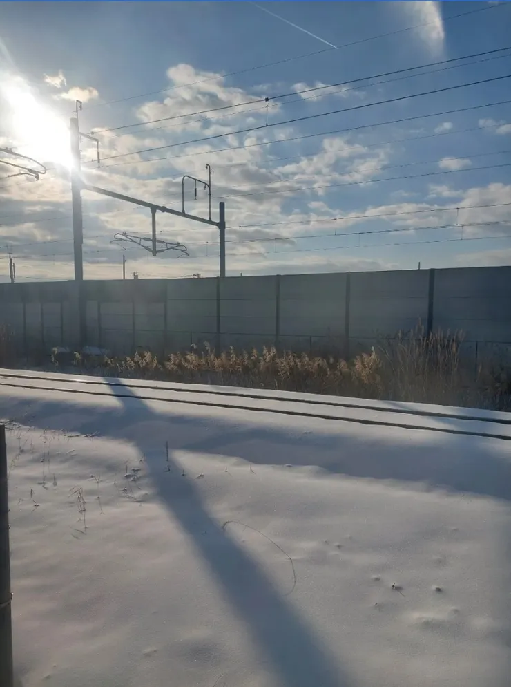 剛升起的日 x 靄靄百雪