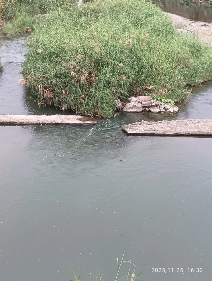 眸剪秋水芳豔流，自拍攝