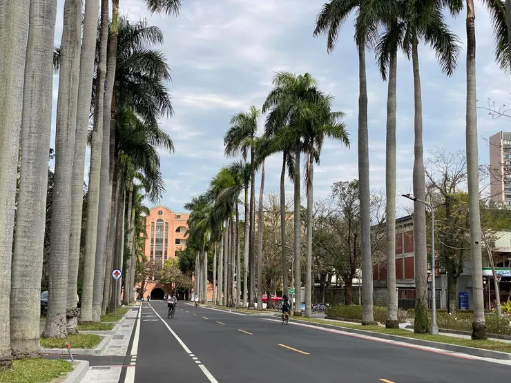 女九舍位於小椰林道東側