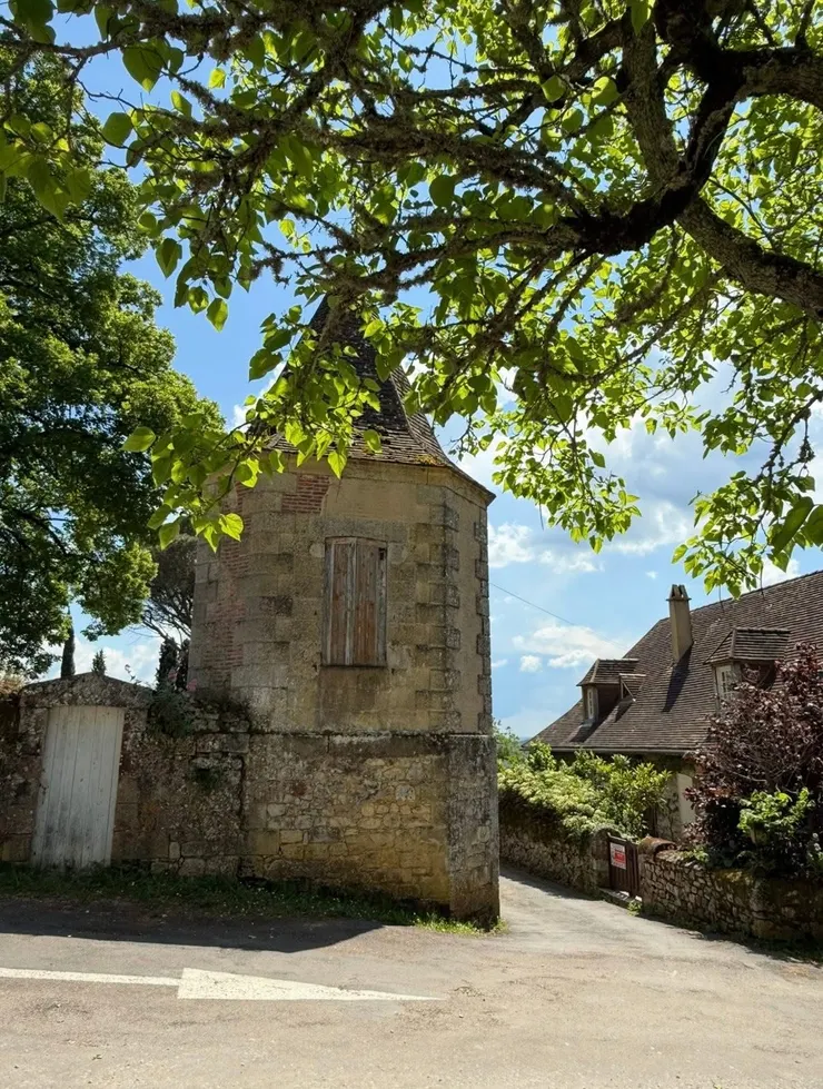 午後，安靜的時光，也是最享受的時光