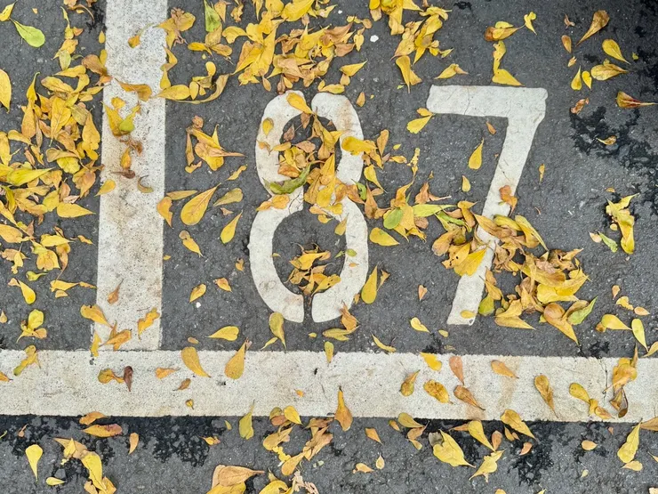 看到這兩個數字，你想到什麼？