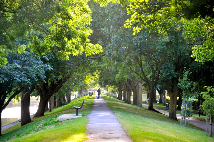 【改做公園閒步蹓狗划船或垂釣】